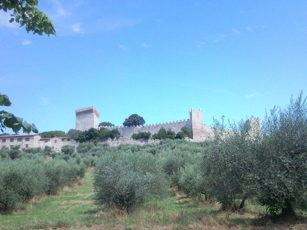 كاستيغليون ديل لاغو Hotel Trasimeno Bittarelli المظهر الخارجي الصورة